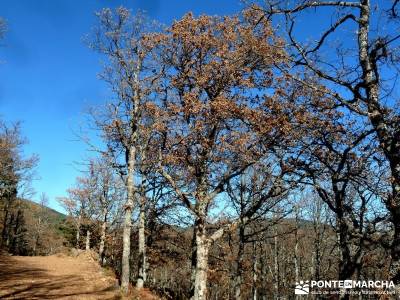 Hoyos glaciares El Nevero, Peña el Cuervo; senderismo y montaña;excursiones alrededores de madrid